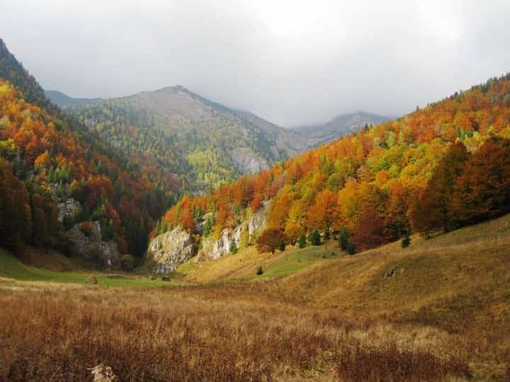 Herbstliches Bergtal mit Mischwald.
