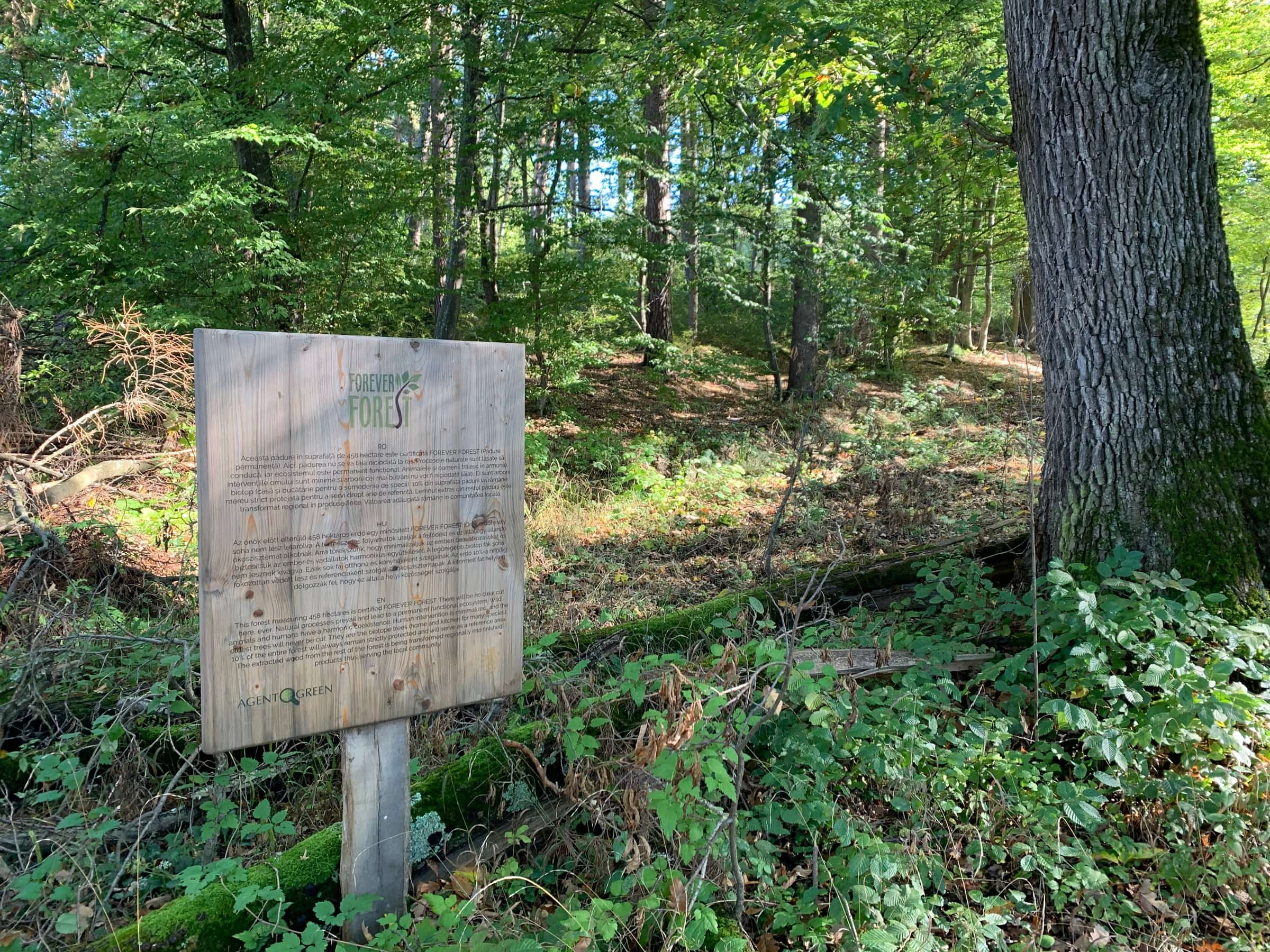 Field sign installed between trees in a protected forest.