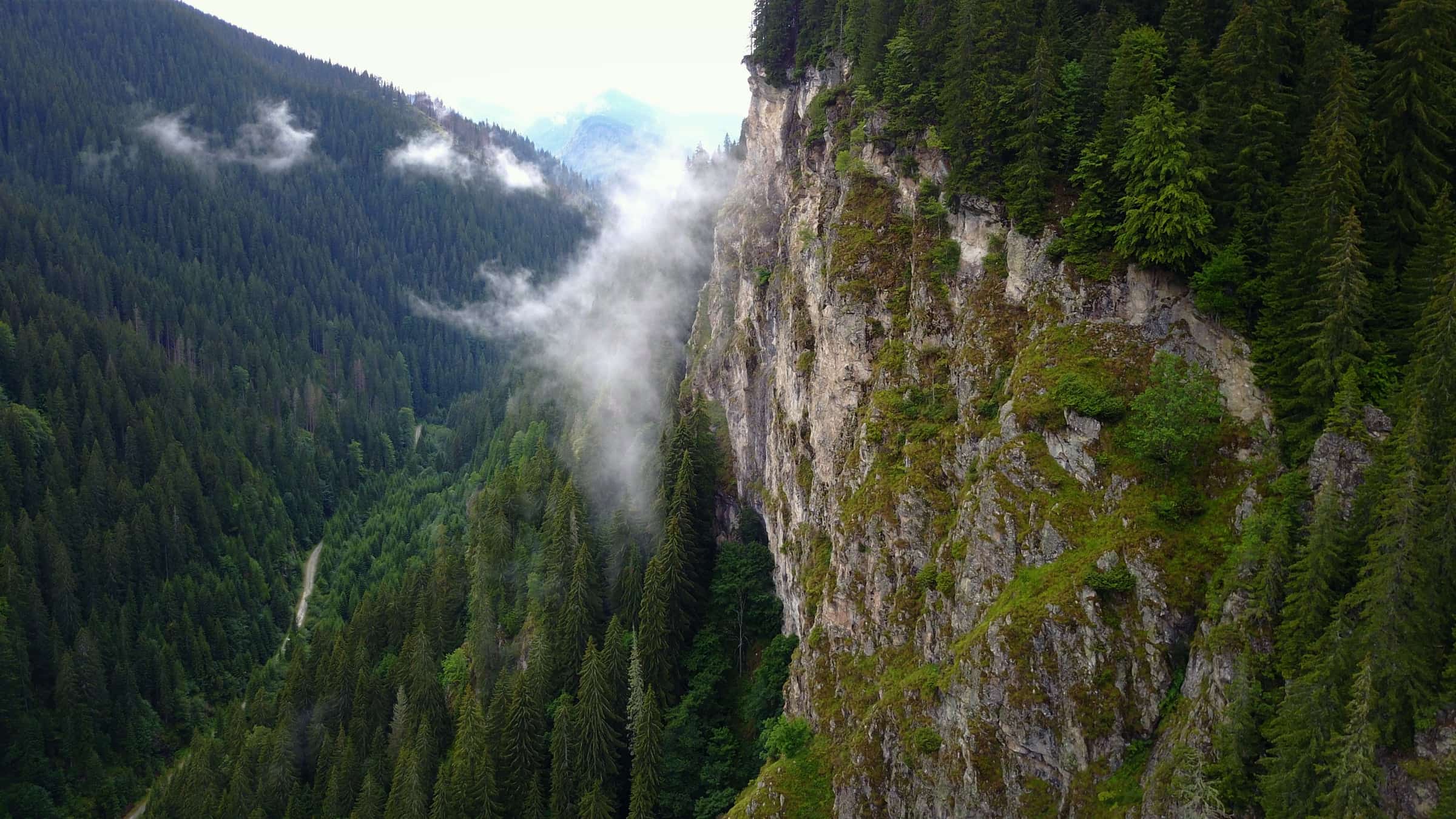 A sheer, mossy limestone cliff above a misty forested valley at Petrimanu.