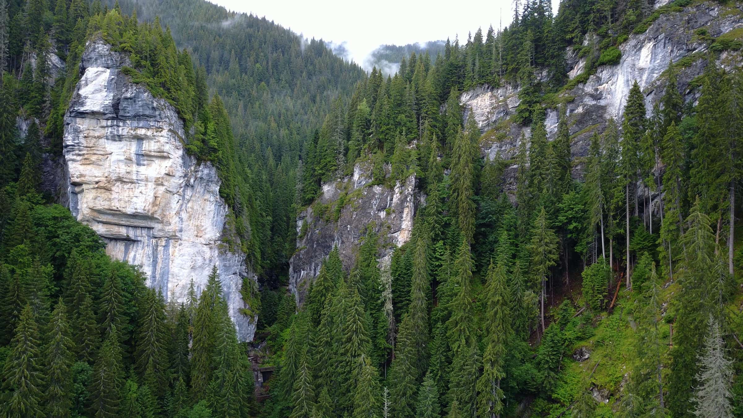 White limestone cliffs rising among spruce forest at Petrimanu, with low mist along the ridge.