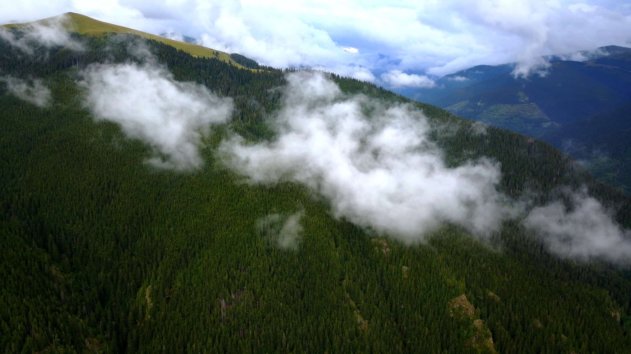 Cloud rolling over a high forested ridge at Petrimanu, an alpine meadow at the crest.
