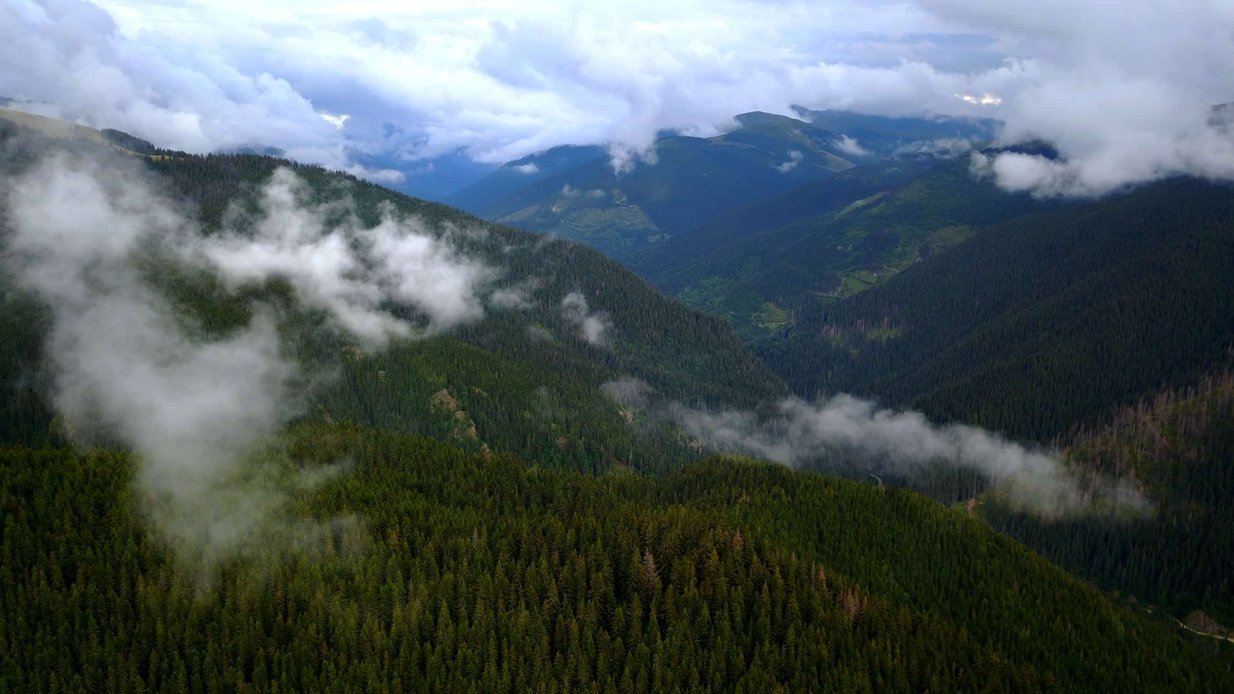 Forested ridges at Petrimanu under heavy cloud, with distant Carpathian peaks.