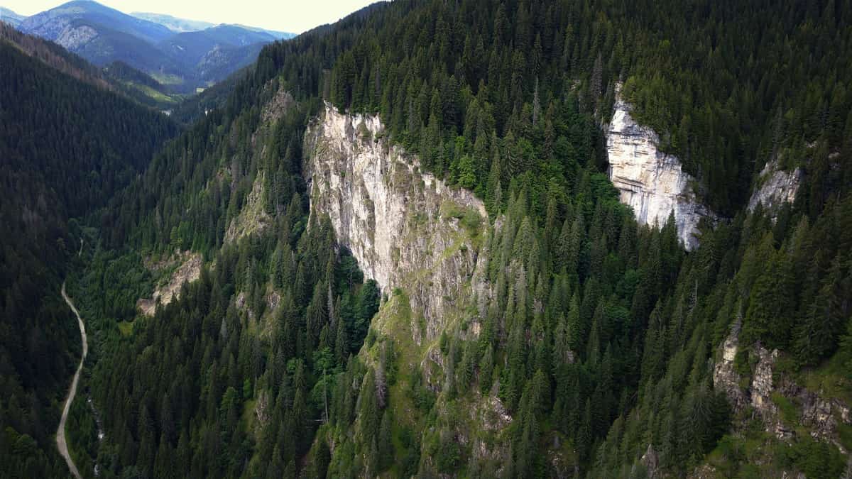 Aerial view of a deep forested valley at Petrimanu, with a tall limestone spur and a track along the valley floor.